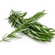 Fresh Rosemary 250g, Invigorating Spice, Western Cuisine Seasoning, Edible Herb