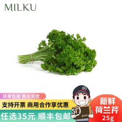 Fresh Chives 250g, Edible for Hot Pot, Food Presentation, Cake Decoration, and Culinary Garnish