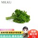 Fresh Chives 250g, Edible for Hot Pot, Food Presentation, Cake Decoration, and Culinary Garnish