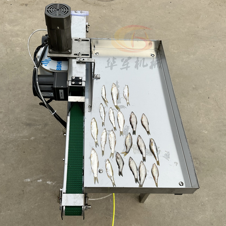小型杀鱼机:厨房里的高效助手,告别繁琐杀鱼过程!🐟 -切鱼机-淘宝百科网