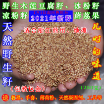 Wild Wood lotus seed to send coagulant ice Wood lotus bean curd frozen 2021 new seed hand-rubbed jelly seed icy seed