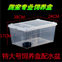 Crawler feeding box with lid Climbing box pet snake Spider scorpion guard house snail insect turtle tank fish tank