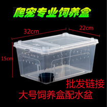 Pet feeding box with breathable hole reptile feeding box Spider gory lizard scorpion centipede plastic turtle box