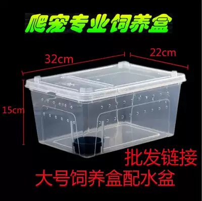 Pet feeding box with ventilation hole reptile reptile feeding box Spider Guard snake lizard scorpion centipede plastic turtle box