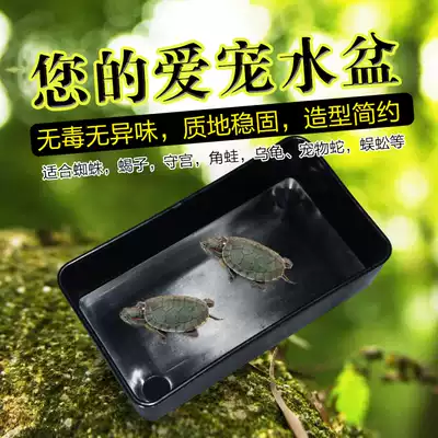 Special bath tub for reptiles, guarding the palace, lizard, horned frog, toy snake, small feeding box