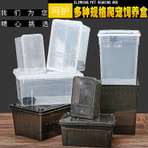 Pet feeding box Spider feeding box with breathable hole reptile Scorpion Gougong Snake Lizard Horned Frog Tortoise