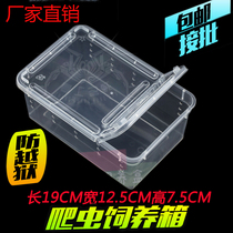 Climbing pet box feeding box Shougong ciliary horn Spider horned frog insect turtle player snake anti-escape feeding box