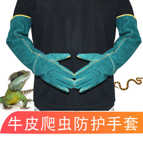 Gants anti-morsure de serpent de lézard de lion de crinière rouge et verte de reptile pour nourrir les chats les chiens et les chiens artefact de bain gants en peau de vache anti-déchirure et de morsure