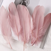 Пятьдесят корней бобовой пасты и моллюсков