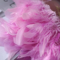 Светло-фиолетовый