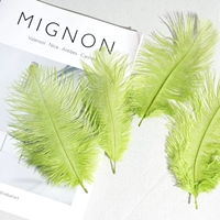 10 желто-зеленых 15-20 волос верблюжьи птицы 10