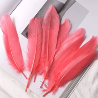 50 Арбуна красные моллюски шерсть