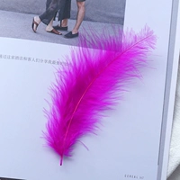 Роза красная