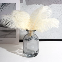 Бежевая 15-20 верблюжьи птицы 10