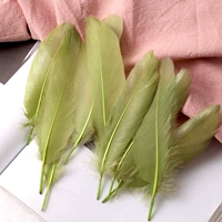 Военные зеленые моллюски 50