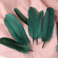 Пятьдесят темно -зеленых волос моллюсков