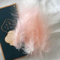 Цвет лотоса