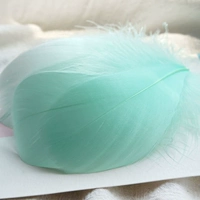 100 штук плавающих голубых и зеленых цветов.