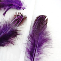 50 фиолетового цвета