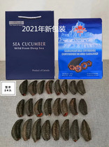 Canadian Arctic geniuAA class 24 head sea cucumber top grade with gluten pure dry wild ginseng age 8 years spot