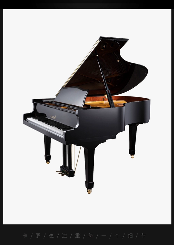 Carod / Caroline new grand piano T-G86 cấu hình cao cấp nhập khẩu thương hiệu túi đàn piano giao hàng tận nhà - dương cầm roland hp704