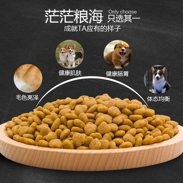 Snow Mountain Dog Food Calcium Meili Snow Mountain ອາຫານທໍາມະຊາດຂອງແທ້ ຊີ້ນສົດ Corgi ອາຫານຫມາຜູ້ໃຫຍ່ 10kg