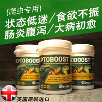 British REPTOBOOST tortoise lizard reptiles anti-feeding enteritis effect Super BAC electrolyte probiotic powder