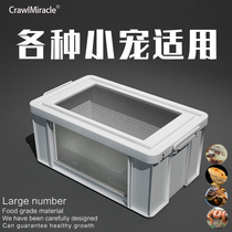 CM reptile reptile breeding box tortoise lizard snake Python hedgehog acrylic plastic climbing Box large 70cm