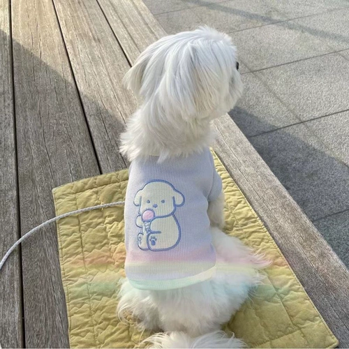 Летний базовый милый дышащий шнурок-держатель, осенний