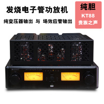 Fever Hifi Bile Machine Electronic Tube Power Release Machine Pure Liner Machine KT88 Aristocratic Voice High Power Lossless Bluetooth Remote Control