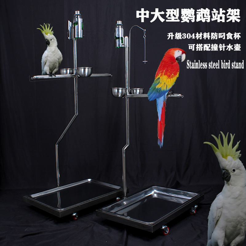 Large Parrot Stand, Large Double Bird Stand, Stainless Steel Stand, Extra-Large Perch for Floor-Standing Parrots 7 Large Parrot Stand, Large Double Bird Stand, Stainless Steel Stand, Extra-Large Perch for Floor-Standing Parrots 7
