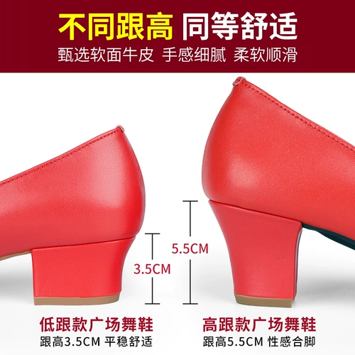 Plaza Dance Shoes Ladies Soft Bottom Leath