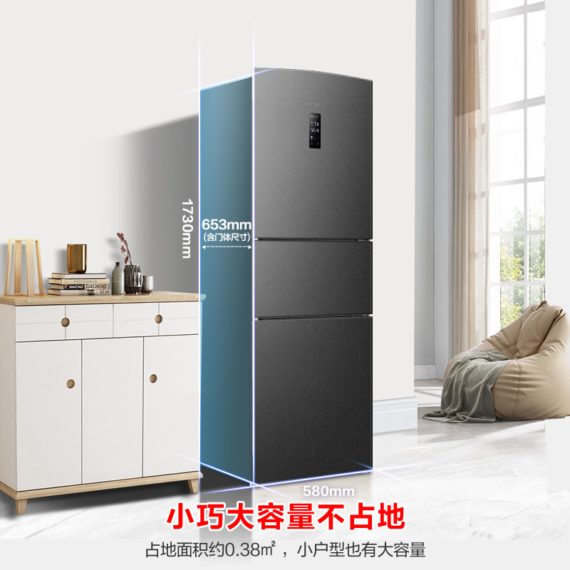 容声BCD-253WD16NPA冰箱图片