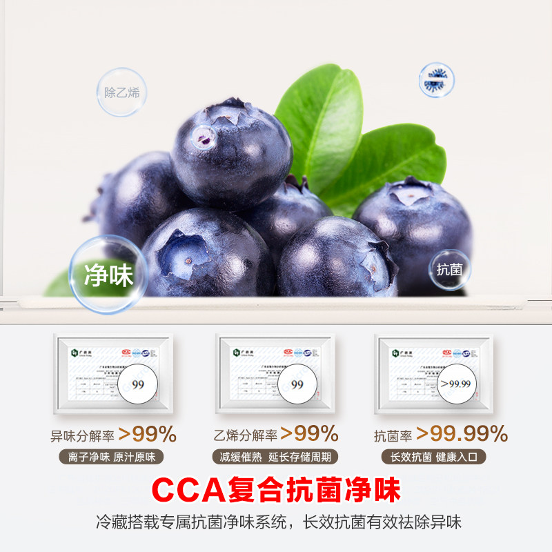 容声BCD-637WD11HP冰箱图片