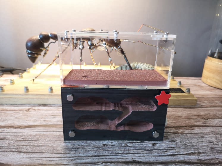 Black hole M ice City boutique ant nest Pet living ant nest Spot queen ant Castle Workshop Acrylic