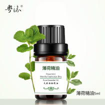 Mint essential oil 5ml control oil face facial incense cleaning pores unilateral vegetable oil