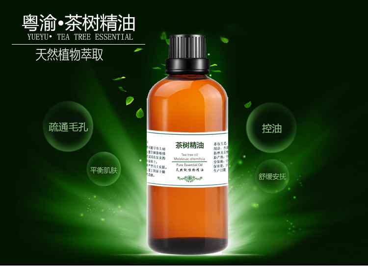 Cây trà đơn tinh dầu nhà sản xuất đích thực 100ml tinh dầu nguyên chất chăm sóc da tinh dầu làm đẹp da mặt tự nhiên - Tinh dầu điều trị tinh dầu mùi già