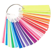 (Official Flag) Pantone Pantone Nylon Bright Color Set FFN100 International Standard Clothing and Home Nylon Color Card Pantone Color Card