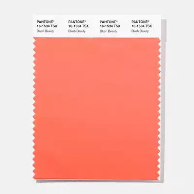 PANTONE PANTONE official flagship store TSX polyester fiber version single color card clothing home 15-4321tsx to 16-5128tsx polyester fiber version