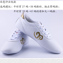 Korea super fiber Xiangyun martial arts shoes Tai chi shoes Taekwondo shoes Indoor martial arts shoes practice shoes promotion