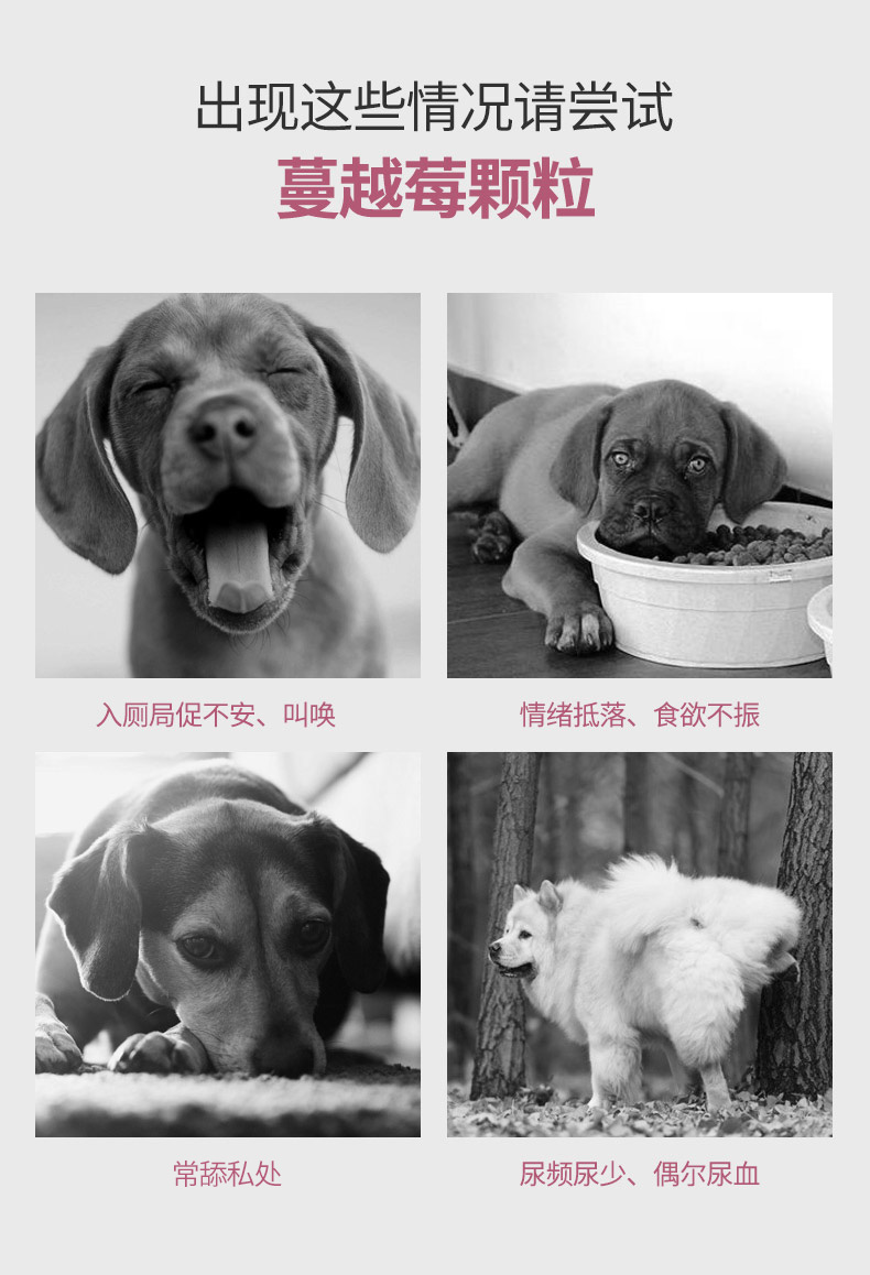Viscon tự nhiên cranberry tiết niệu axit hóa hạt pet phòng chống dog cat nước tiểu đá gấp tai chăm sóc sức khỏe sản phẩm sữa cho mèo mới đẻ