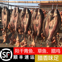 SF Honghu City Hubei Province chicken duck fish herring grass carp bacon SF whole gift