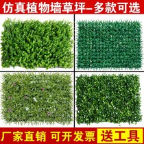 Artificial turf green planting Wall plastic simulation lawn plant wall decoration living room indoor false green background flower wall