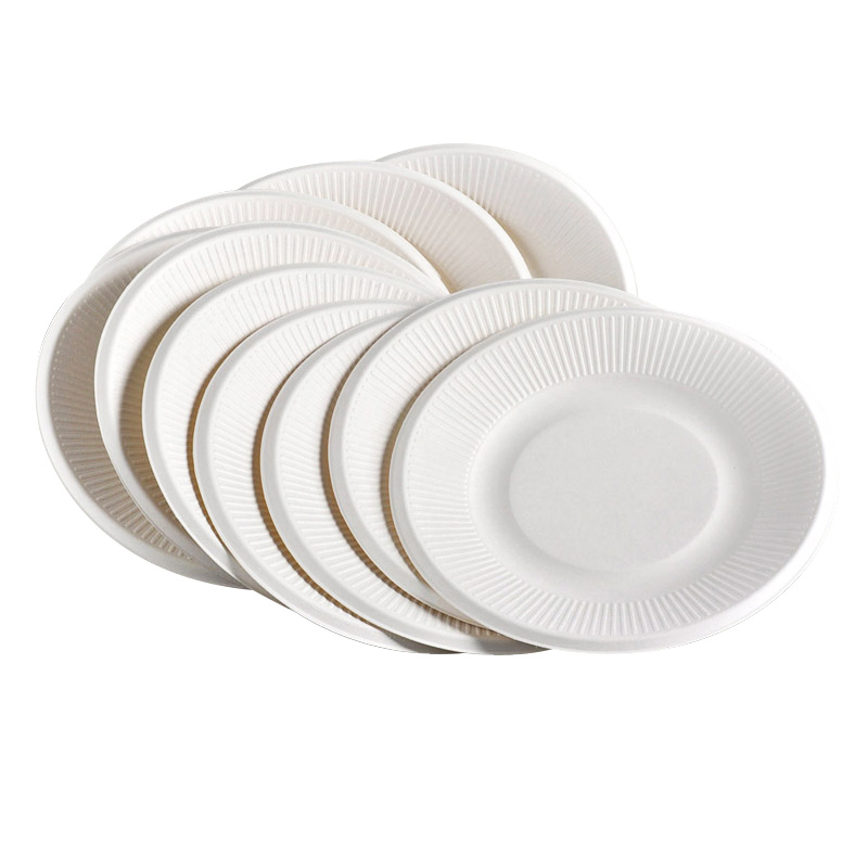 Yiche disposable paper tray Snack Dish Cake dinner Dinner Tray Artisanal Outdoor Picnic Barbecue Supplies 10 Only