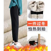 Plus velvet padded imitation lamb wool sweatpants womens loose feet autumn and winter wear thin casual warm cotton pants children