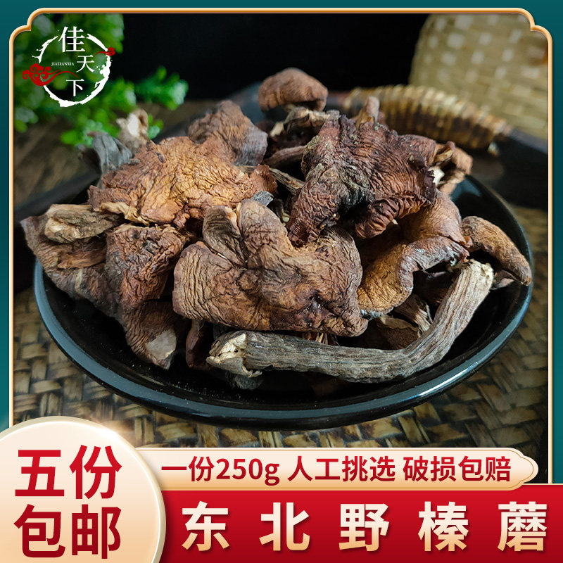 Northeast Heilongjiang Native Hazelnut Mushroom 250g Farmhouse Petty Chicken Stew Mushroom Dry Hazelnut-Grade Fresh Multi-Province