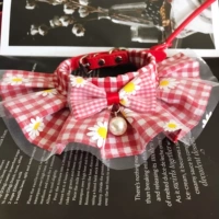 Красный хризантемм жемчуг