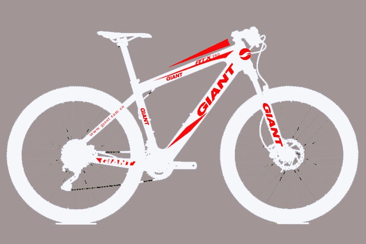 Déco pour vélo - Ref 2293165 Image 8