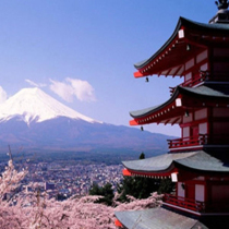 Brother-in-law Japanese living home on the way to fill up the post-postage shipping freight shopping bag gift box