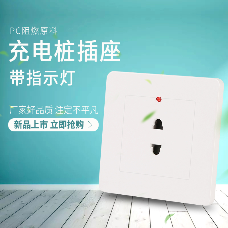 Charging pile socket with indicator lamp to dark two holes two holes wall socket area charging management station dedicated